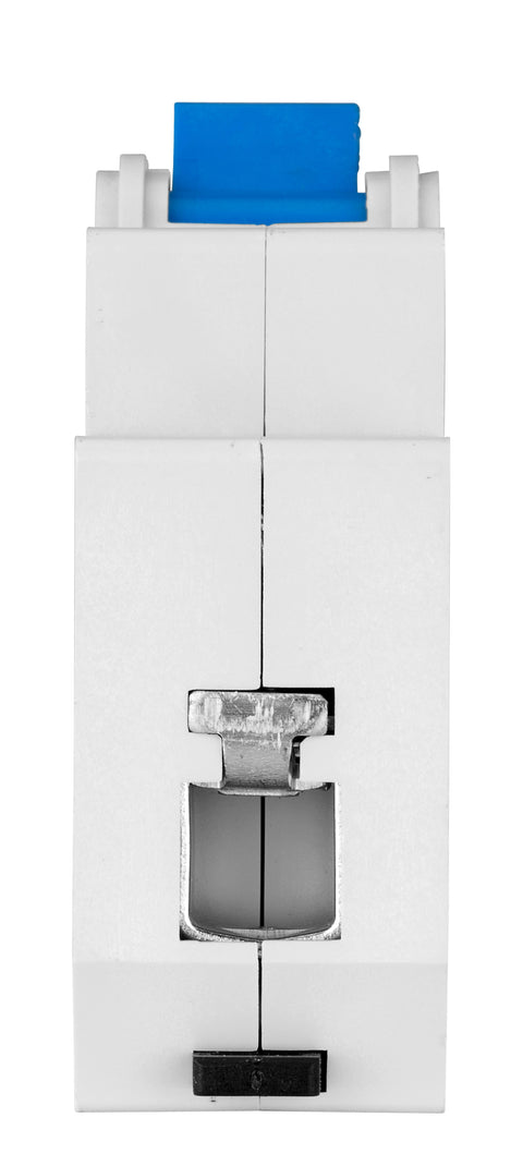 Întreruptor automat C100/1