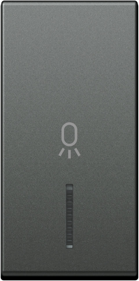 Cover with lens and light icon 1M, anthracite