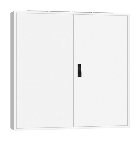 Ramă aplicată+uşă 5A-24, A=250mm+placă sp.+mâner rot. IP54