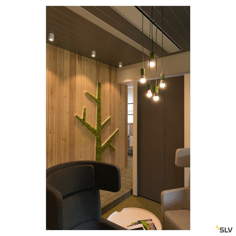 TRILEDO CL, indoor ceiling light, QPAR51, white, max 10W