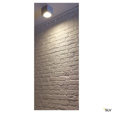 Plafonieră BIG THEO CEILING OUT, ES111, gri arg, max.75W