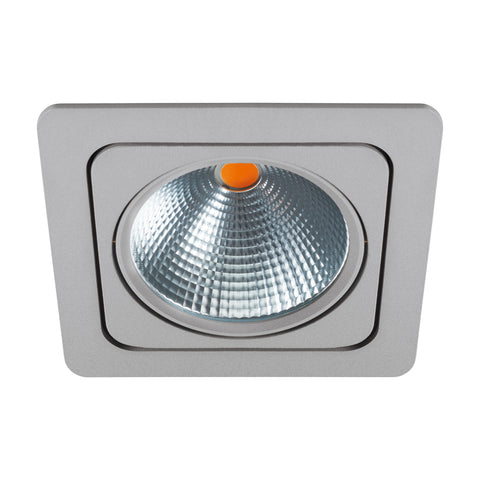 Vascello G1" swivelling 19W 2700K silver IP20