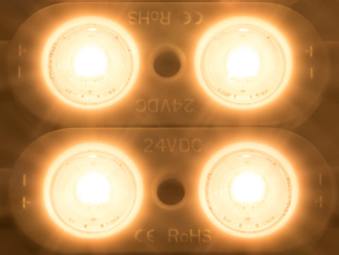 LED module ensures Tiwn 12 CLW IP65  CRI/RA 90+