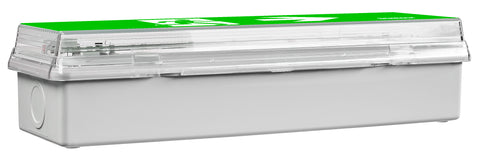 Corp de iluminat de securitate SECURO 24 CON C1 LED 24V DC