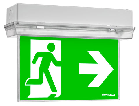 Corp de iluminat de securitate SECURO 24 CON C1 LED 24V DC