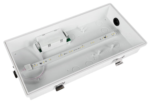 Corp de iluminat de securitate SECURO 24 CON C2 LED 24V DC