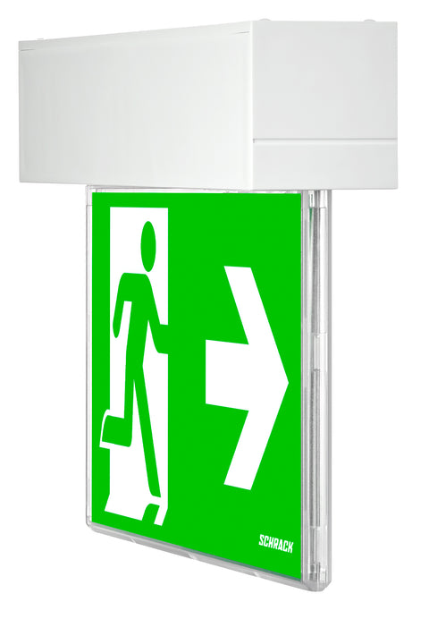 Corp iluminat de securitate SECURO24 PRO R1 LED 24VDC VD=24m