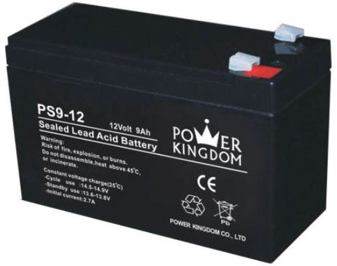 Baterie Power Kingdom PS curent mare 12V/9,0Ah