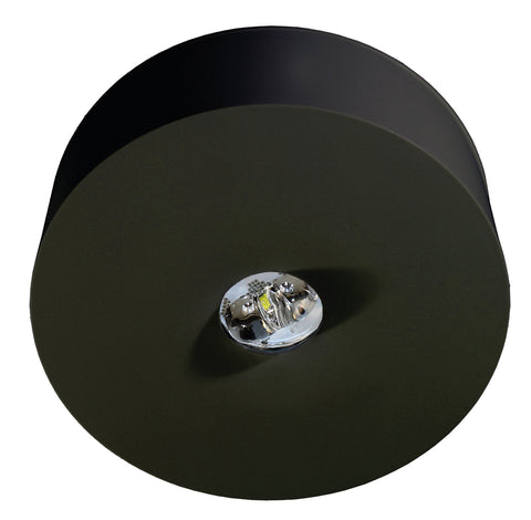 Corp il. siguranță WirelessControl 1x3W ERT-LED 3h 230V AC