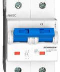 Intreruptor automat C 125A, 2 poli, 10kA