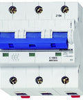 Intreruptor automat C 100A, 3 poli, 10kA