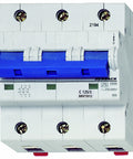 Intreruptor automat C 125A, 3 poli, 10kA
