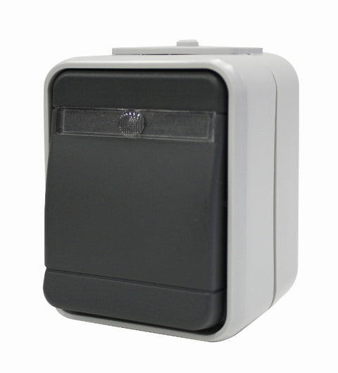 Intrerupator simplu cu bec IP44, gri/gri