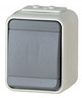 Buton cu revenire IP44, gri/gri