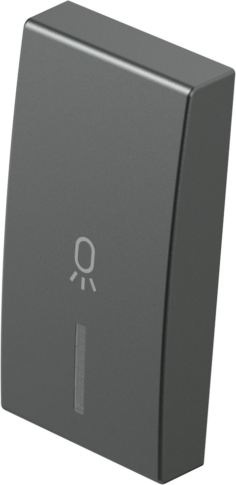 Cover with lens and light icon 1M, anthracite