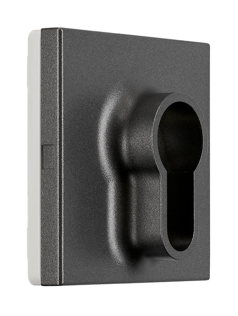 Placă frontală pentru întrerupător cu cheie, antracit