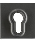Placă frontală pentru întrerupător cu cheie, antracit