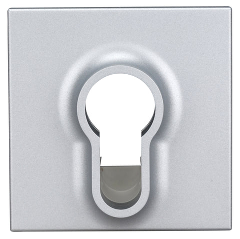 Placă frontală pentru întrerupător cu cheie, argintiu