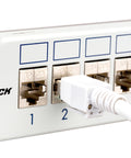 Patchpanel pt. 24 module TOOLLESS LINE, 1UH, 19", RAL7035