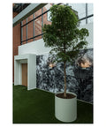 SHELL 15, WL, LED Indoor wall light, 3000K, white