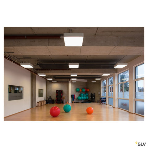 MEDO 60 patrat LED,albtavan,1-10V,3000K