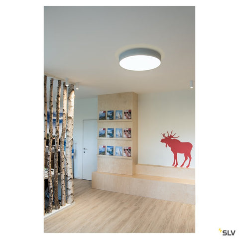 MEDO 60 CW, CORONA,  DALI, silver-grey, 3000/4000K