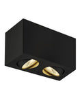 TRILEDO Double, LED Indoor ceiling light, black, 3000K, 16W