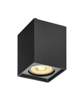ALTRA DICE CL, Indoor wall and ceiling light, QPAR51,black