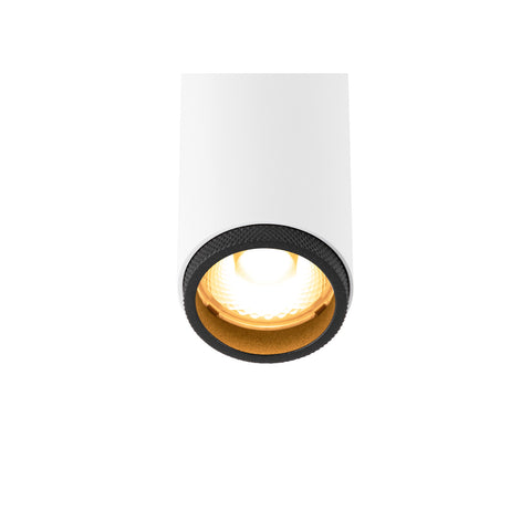 IMPRIMĂ! S 48V cilindric 2700K 9.8W DALI 29° alb / negru