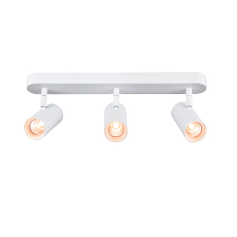 NOBLO triplu rotund 2000-3000K 22W Dim-to-Warm Fază 36° w