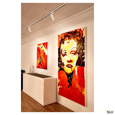 HELIA 50 LED,35° 3000K,albproiector,incl.1P adaptor