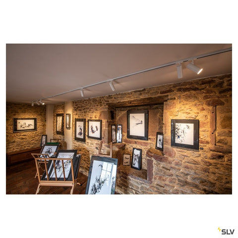 HELIA 50 LED,35° 3000K,albproiector,incl.1P adaptor