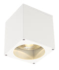 BIG THEO CEILING OUT, ES111, alb, max. 75W