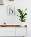 STRIPE-C 14,4W LED-BLUETOOTH®-STRIPE RGB+TW L-3000mm