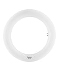 RL-LED T9 C22 G10q EM 12W 865 1200lm Ø205mm