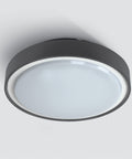 Berry LED 24W, 3000K, 1440lm, 230V, IP65, plastic,anthracite