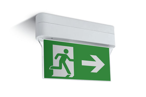 Theia LED 1W, 230V, 3 Hours Maintained, IP44, alb