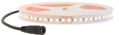 Eșantion de culoare LED Flexstrip 9 IP44 INTERIOR /CRI/RA 95