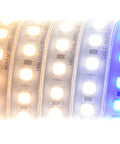 Eșantion de culoare LED Flexstrip 9 IP44 INTERIOR /CRI/RA 95