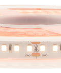 FS 95, HW, Ra97, 21W/m, 1960lm/m, 24VDC, IP44, l=5m