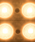 LED module ensures Tiwn 12 CLW IP65  CRI/RA 90+