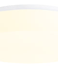 DELIA 2 LED 29W 4050lm 4000K IP54, Wall, ceiling lamps