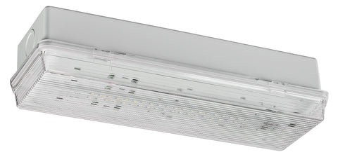 Corp de iluminat de securitate SECURO 24 CON C1 HP-LED 24VDC