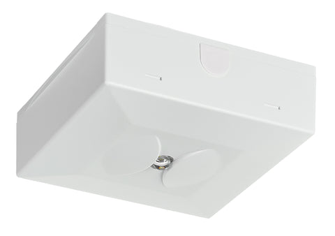 Corp iluminat de securitate SECURO 24 CON S2 ERT-LED 24V DC